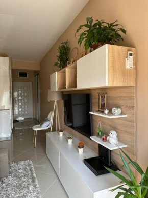 Apartman DVA SRCA